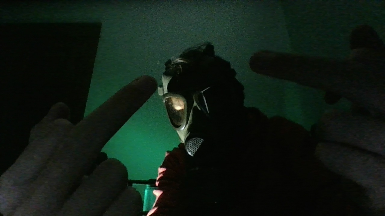 a picture of me with my gas mask